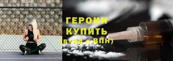 индика Тобольск