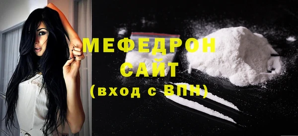 индика Тобольск
