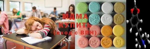 индика Тобольск