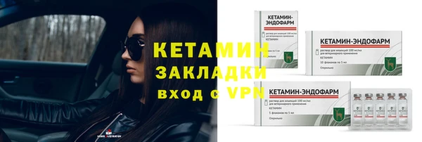 индика Тобольск