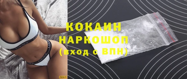 индика Тобольск